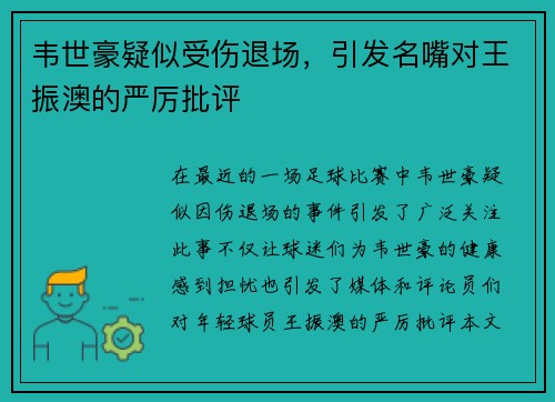 韦世豪疑似受伤退场，引发名嘴对王振澳的严厉批评