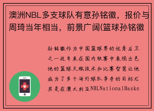 澳洲NBL多支球队有意孙铭徽，报价与周琦当年相当，前景广阔(篮球孙铭徽个人资料)