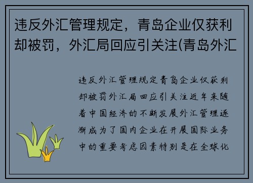 违反外汇管理规定，青岛企业仅获利却被罚，外汇局回应引关注(青岛外汇兑换)